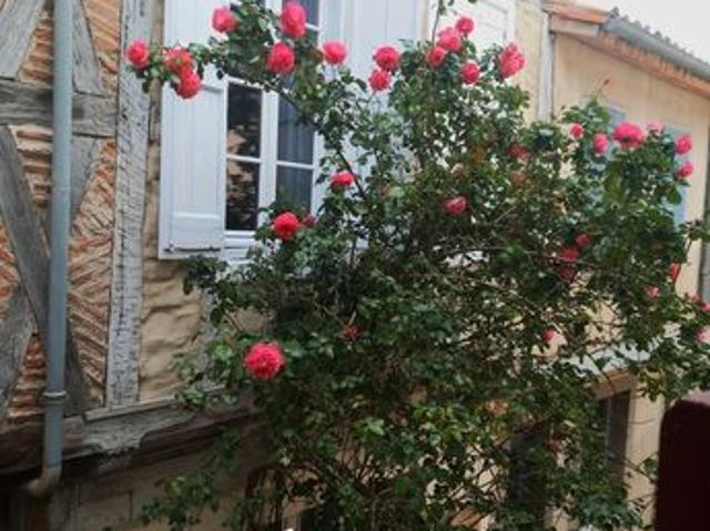 Maison 4 pièces 110 m²