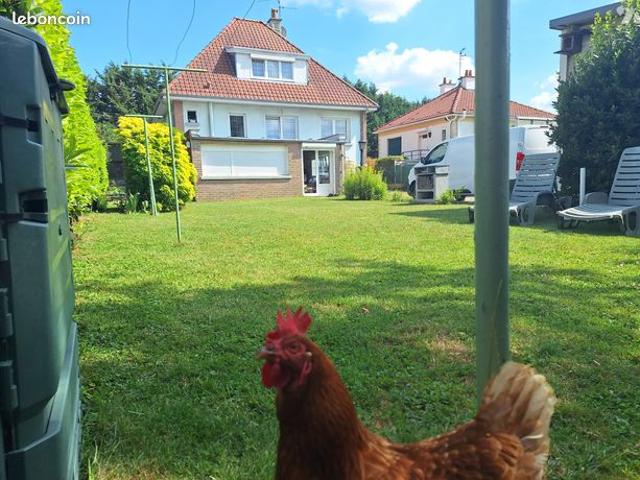 Maison 4 pièces 120 m²