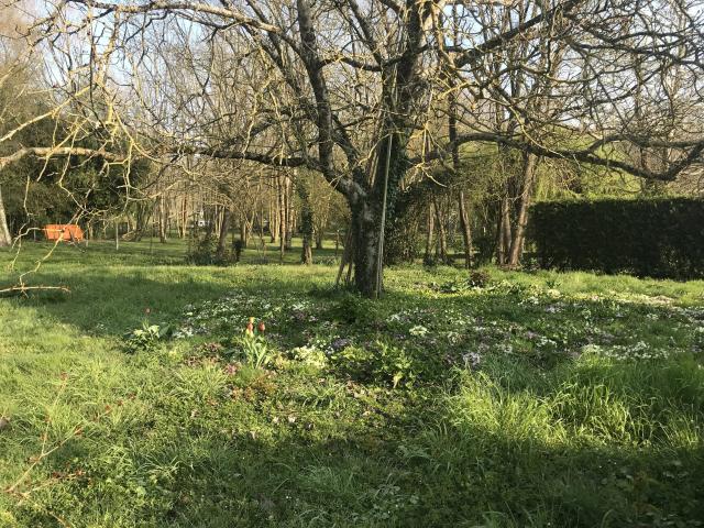 Maison 4 pièces 135 m²