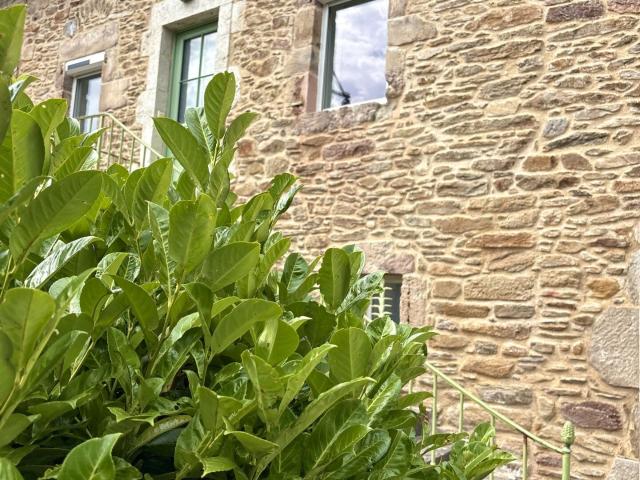 Maison 4 pièces, 145 m² à louer à Baraqueville 12160