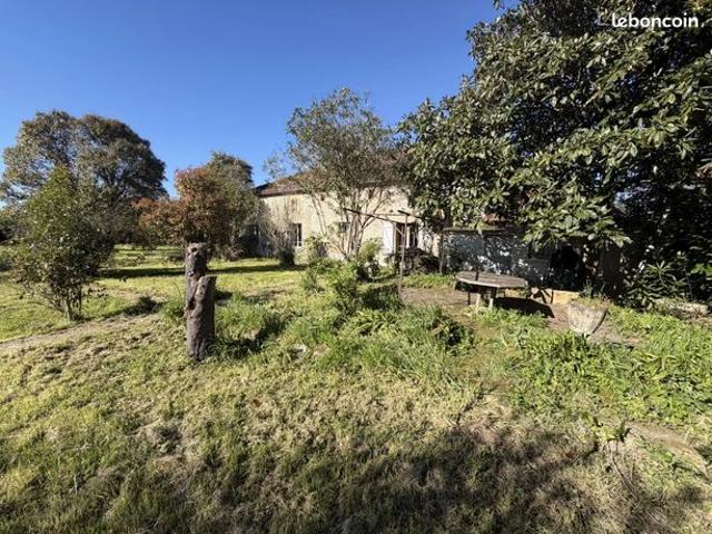 Maison 4 pièces 166 m²