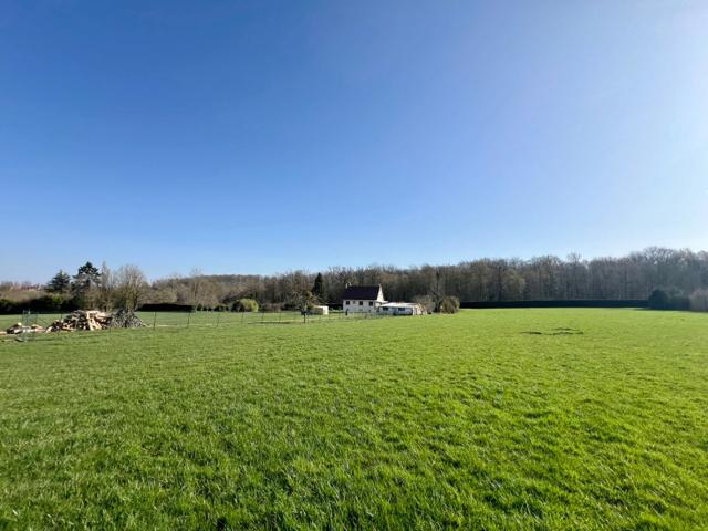 Maison 4 pièces 175 m²