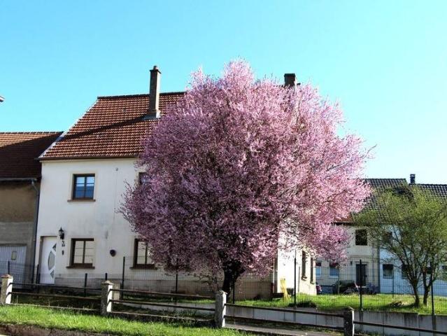 Maison 4 pièces