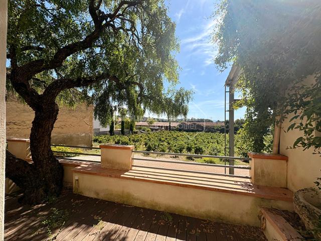 Maison 4 pièces, 61 m² à louer à Châteauneuf du Pape 84230