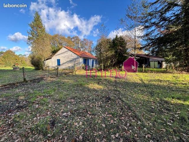 Maison 4 pièces 65 m²