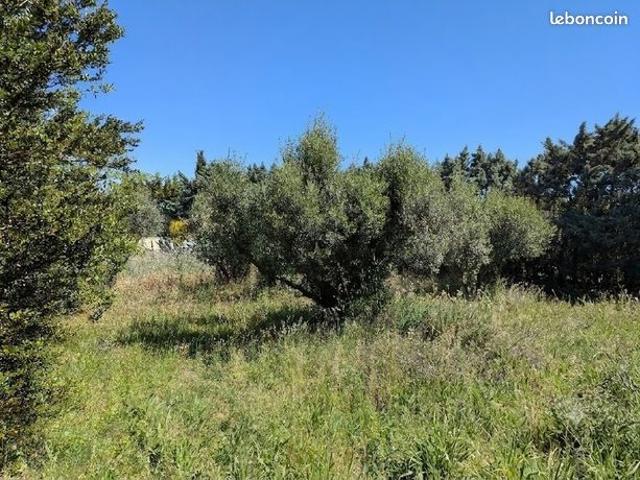 Maison 4 pièces 89 m²
