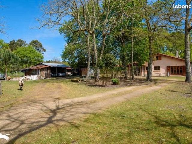 Maison 4 pièces 92 m²