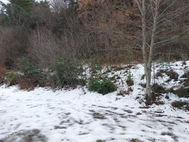 Maison 4 pièces, 95 m² à louer à Savines le Lac 05160