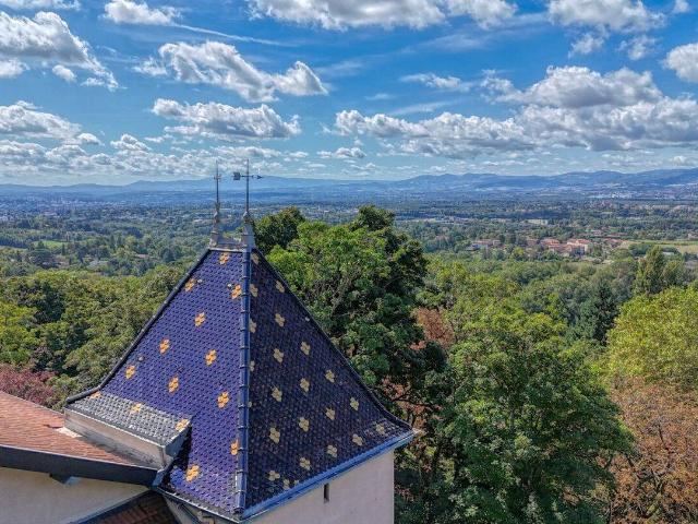 Maison 555 m2 Saint Didier Au Mont d Or