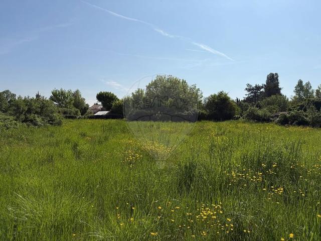Maison 5 chambre s à vendre