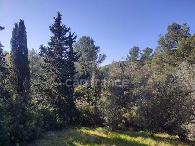 Maison 5 chambres, ST CLEMENT DE RIVIERE Languedoc Roussillon 34980 DS87959135