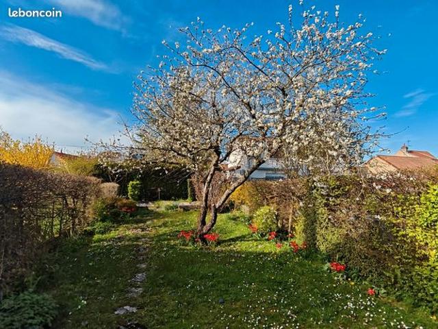 Maison 5 pièces 100 m²