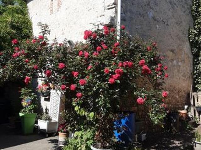 Maison 5 pièces 130 m²