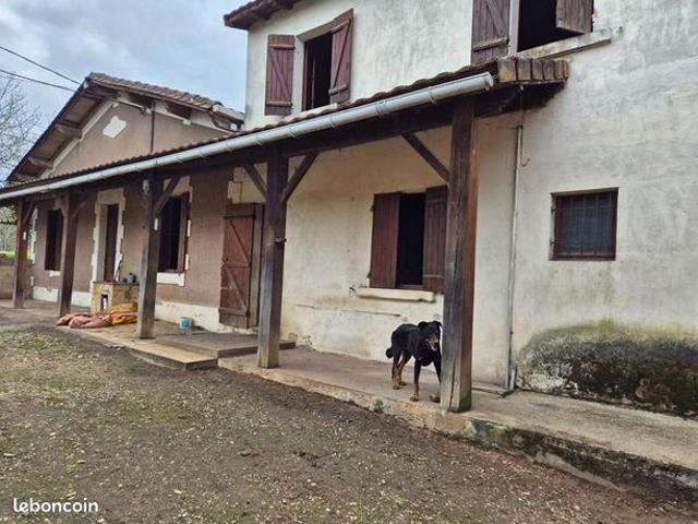 Maison 5 pièces 165 m²