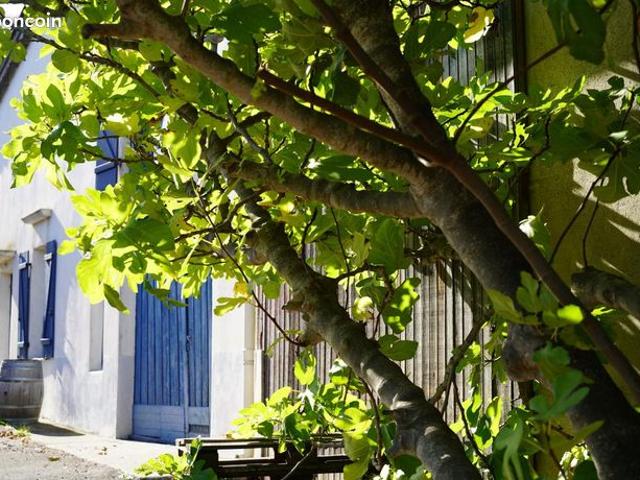 Maison 5 pièces 165 m²