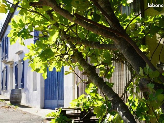 Maison 5 pièces 165 m²