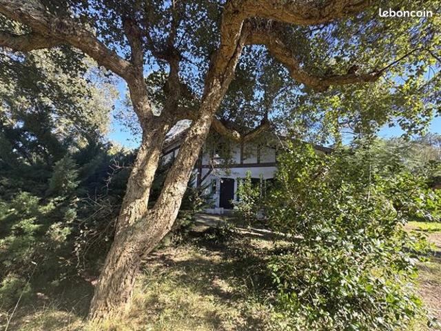 Maison 5 pièces 165 m²