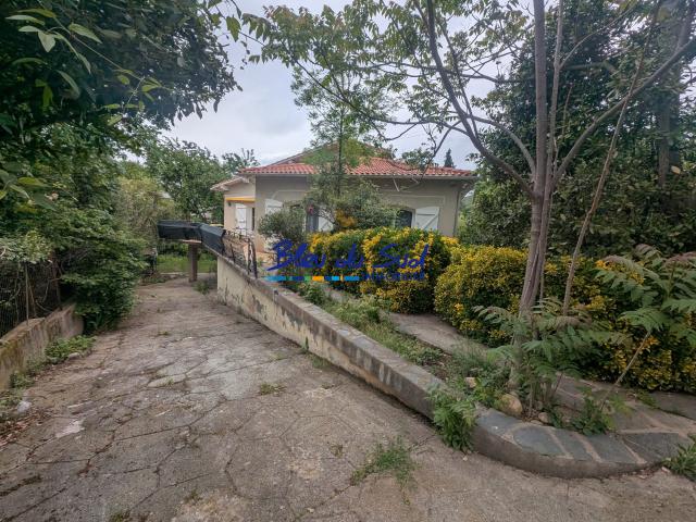 Maison 5 pièces 167 m²