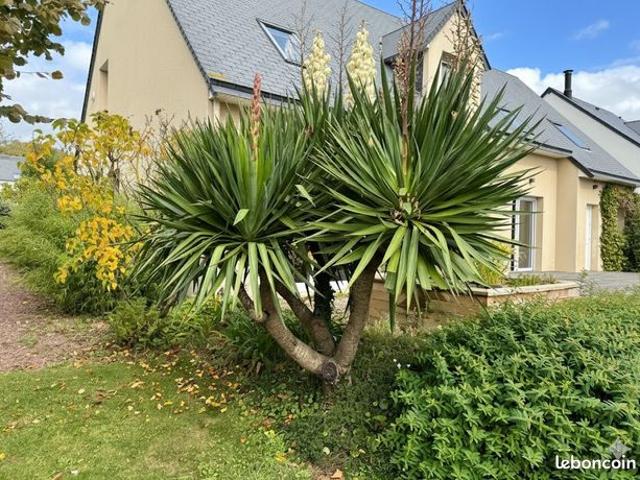 Maison 5 pièces 160 m²