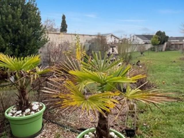 Maison 5 pièces 170 m²