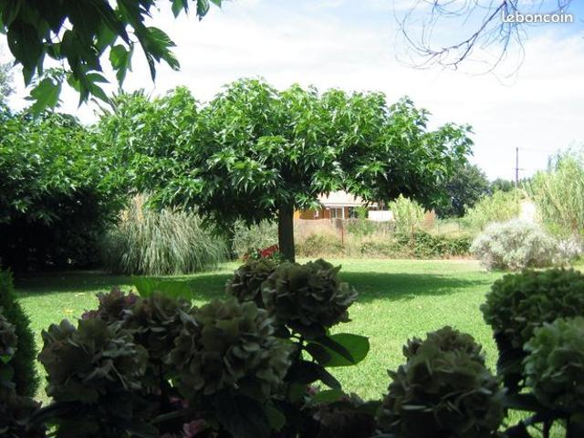 Maison 5 pièces 390 m²