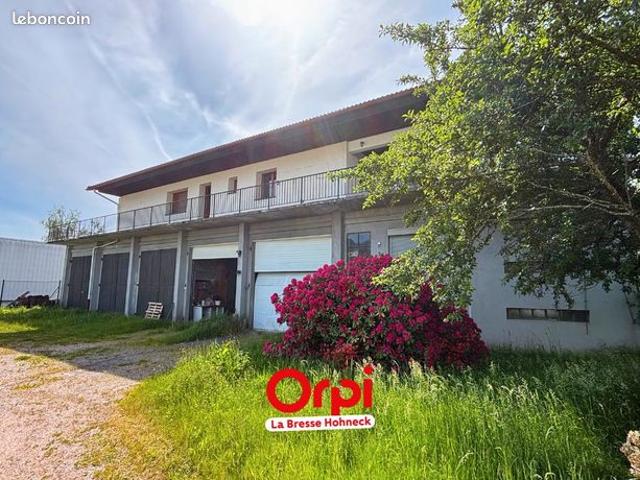 Maison 5 pièces 420 m²