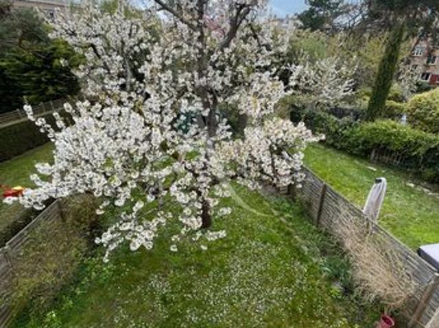 Maison 5 pièces 81 m²