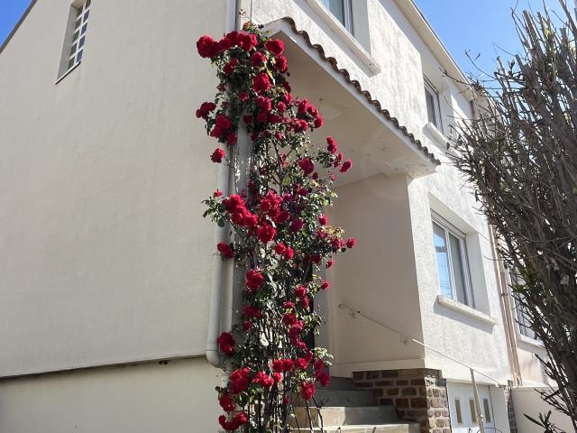 Maison 5 pièces 84 m²