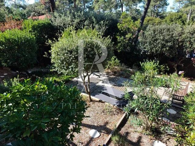 Maison 60 m2 Pyla sur Mer
