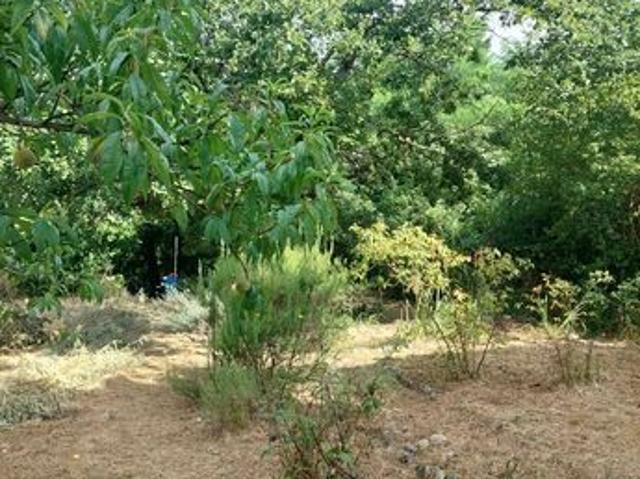 Maison 69 m² Montesquieu Volvestre