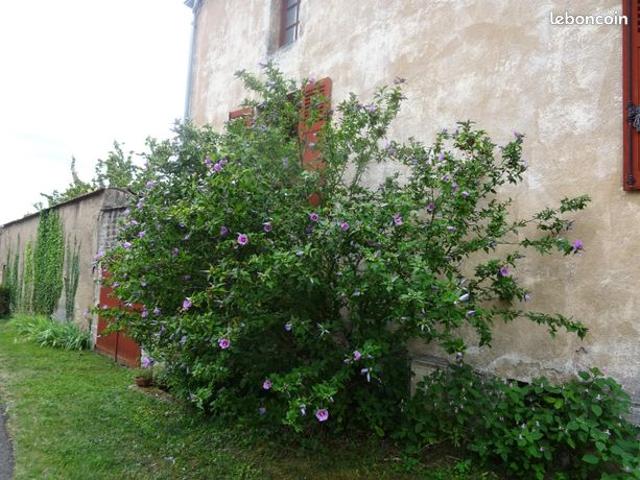 Maison 6 pièces 100 m²