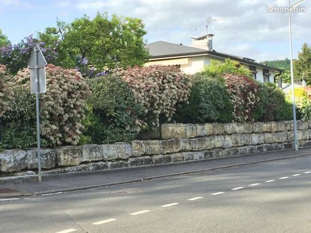 Maison 6 pièces 125 m²