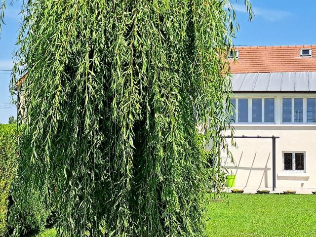 Maison 6 pièces 140 m²