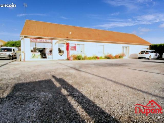 Maison 6 pièces 240 m²
