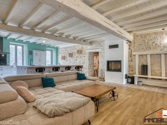 Maison 6 pièces 255 m²