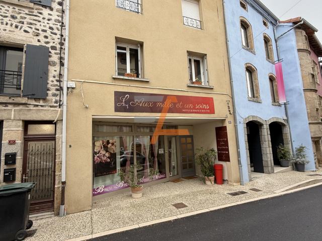 Maison 6 pièces 250 m²