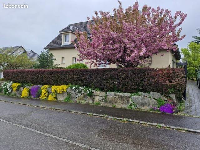 Maison 6 pièces 251 m²