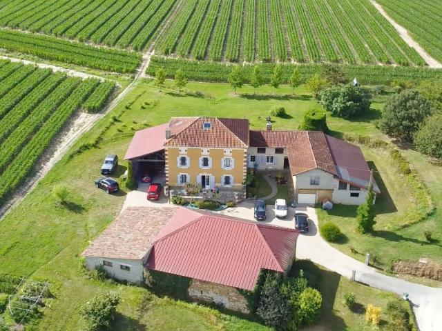 Maison 6 pièces 253m² 5 chambres Ancien chai Bodega Terrain 20 000m² SAINT SEVER 40