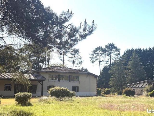 Maison 6 pièces 266 m²