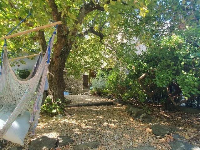 Maison 6 pièces 290 m²