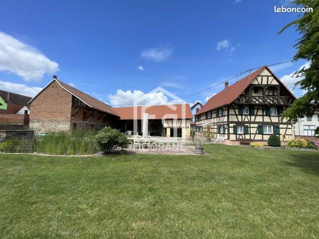 Maison 6 pièces 700 m²