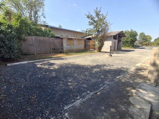 Maison, 74 m² à louer à Chaveyriat 01660