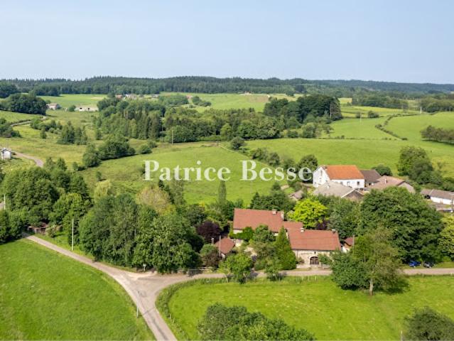 Maison avec jardin