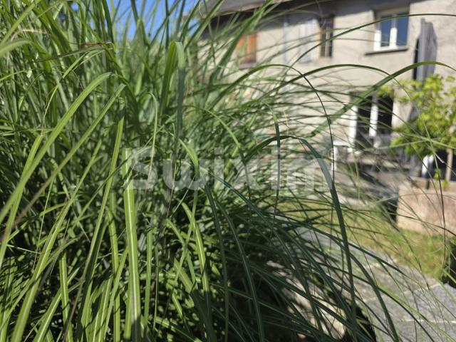 Maison 8 pièces 141 m²