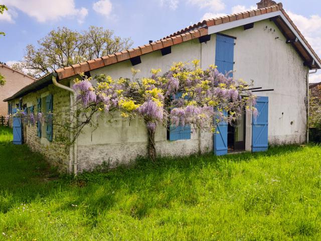 Maison 8 pièces 206 m²