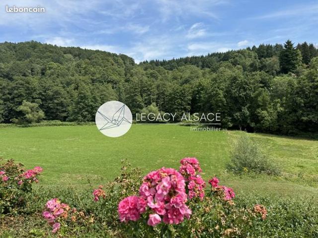 Maison 8 pièces 223 m²
