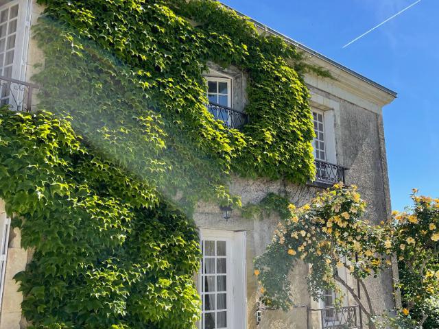 Maison 8 pièces 265 m²