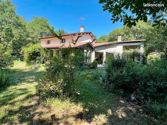 Maison 8 pièces 302 m²