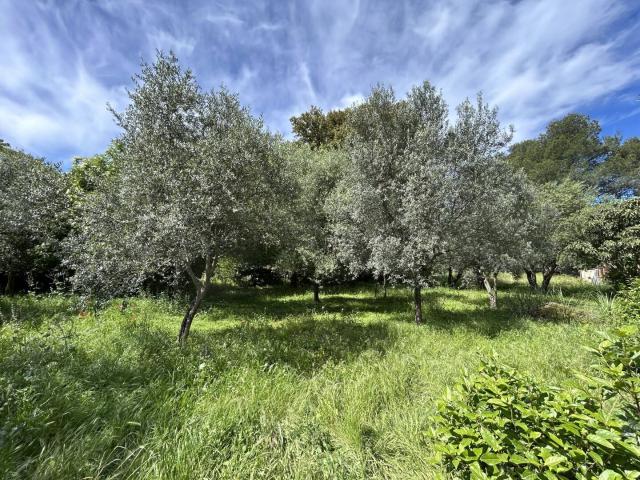 Maison 95 m² avec terrain à DRAGUIGNAN 83