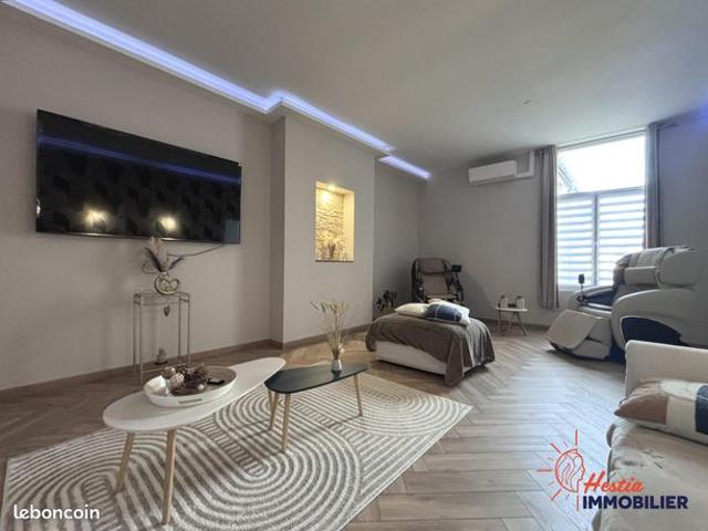 Maison 9 pièces 250 m²